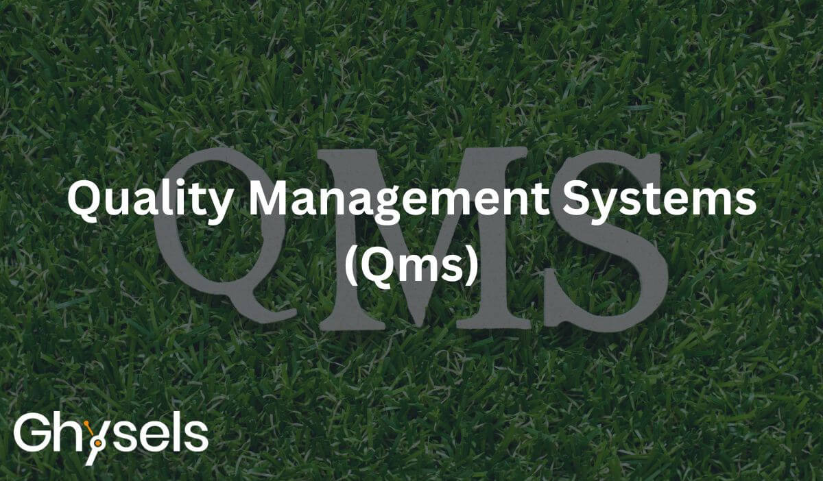 Real-World Insights Into the Implementation of Quality Management